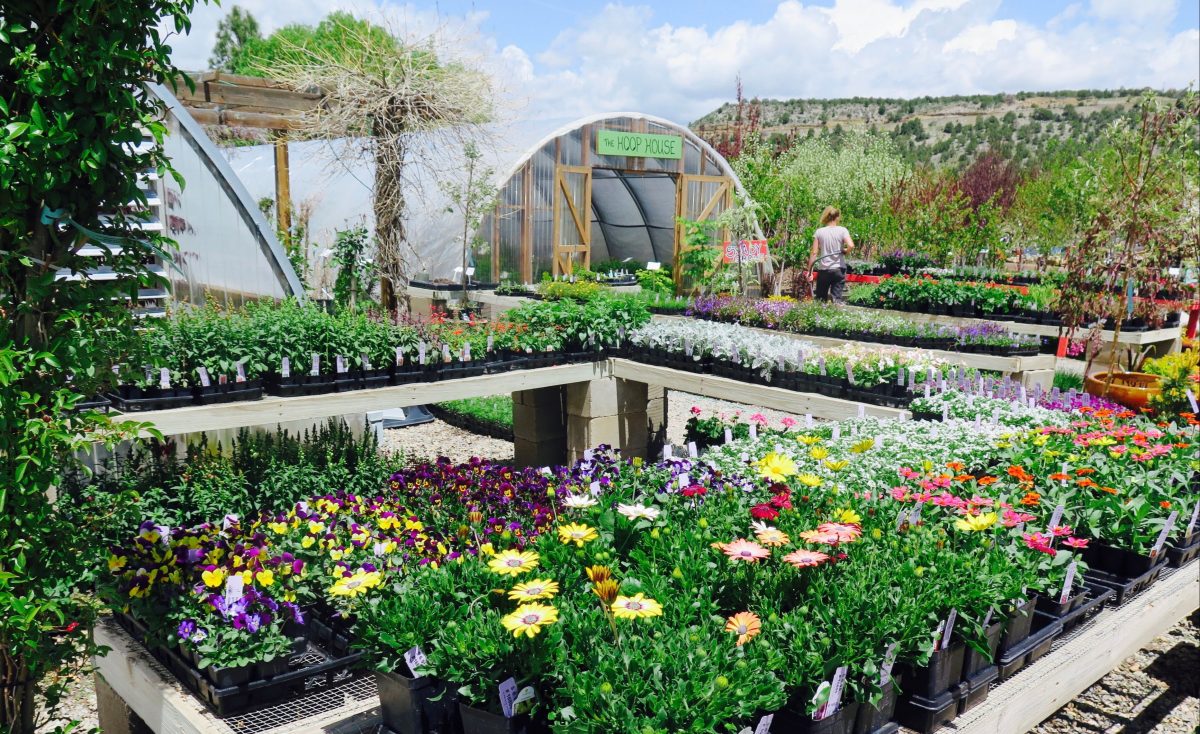 Steps to Structuring an Incredible Nursery